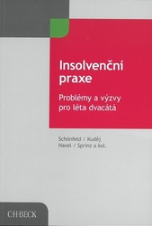 Insolveční praxe. Problémy a výzvy pro léta dvacátá